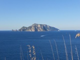 Clicca qui per vedere l'immagine in dettaglio
